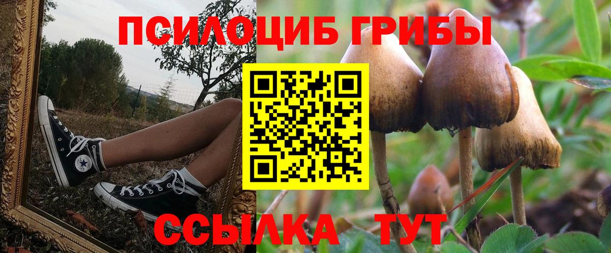 Псилоцибиновые грибы Magic Shrooms Всеволожск